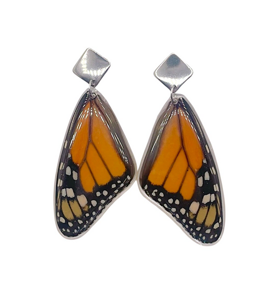 PENDIENTES MONARCA SUPERIOR