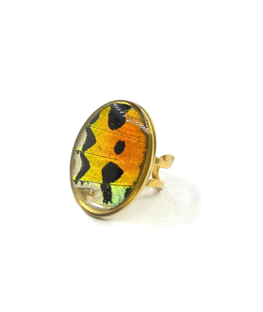 ANILLO MULTICOLOR DORADO ÓVALO