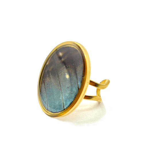 ANILLO MORPHO DORADO OVALADO