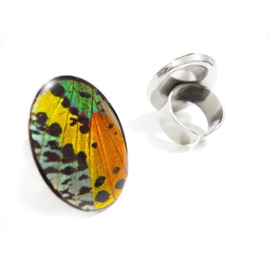 ANILLO MULTICOLOR ÓVALO